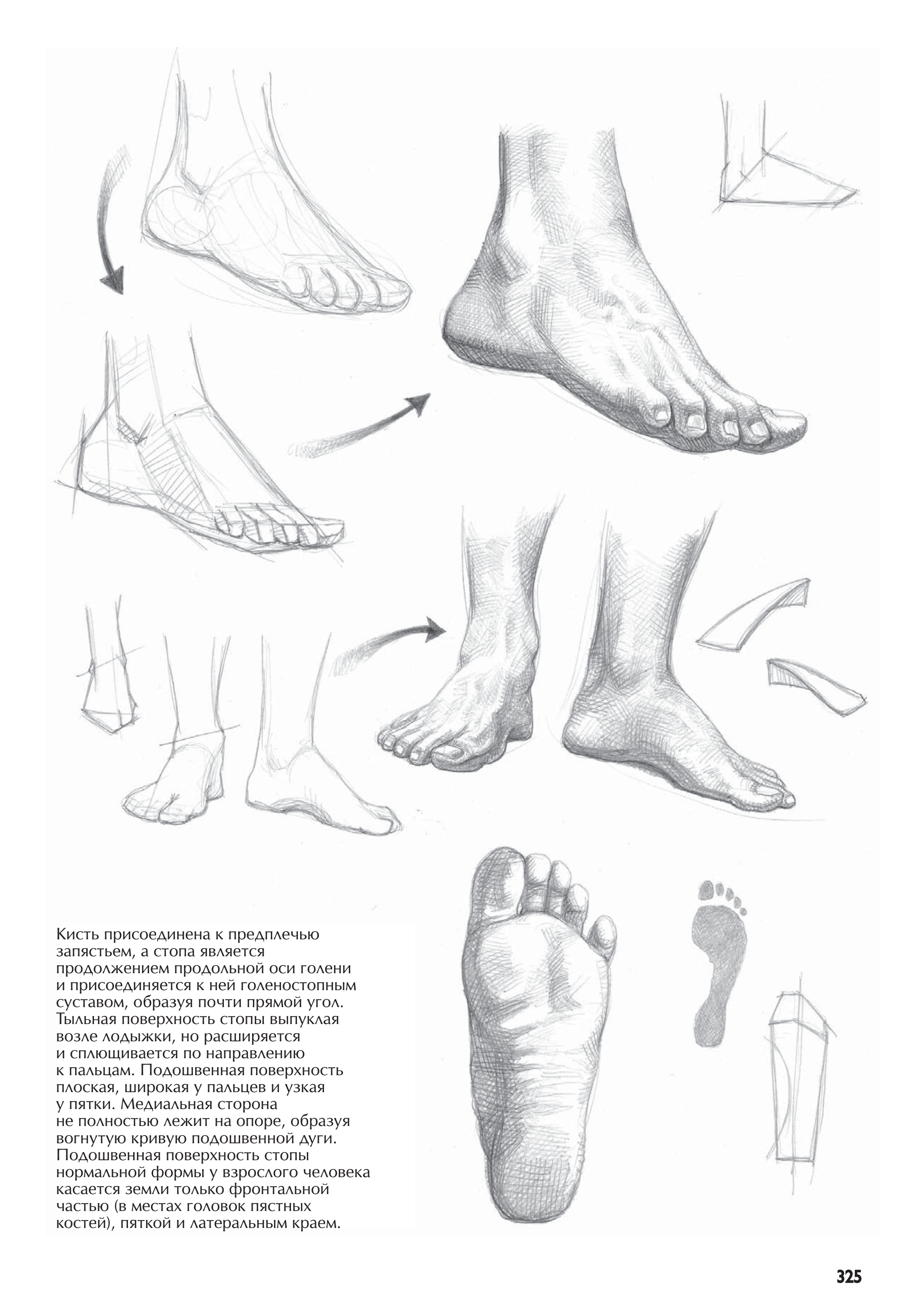 آموزش نقاشی طراحی سیاه قلم شهرری
